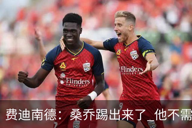 费迪南德：桑乔踢出来了 他不需要再与其他人竞争